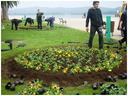 Uređenje zelenih-cvijetnih površina